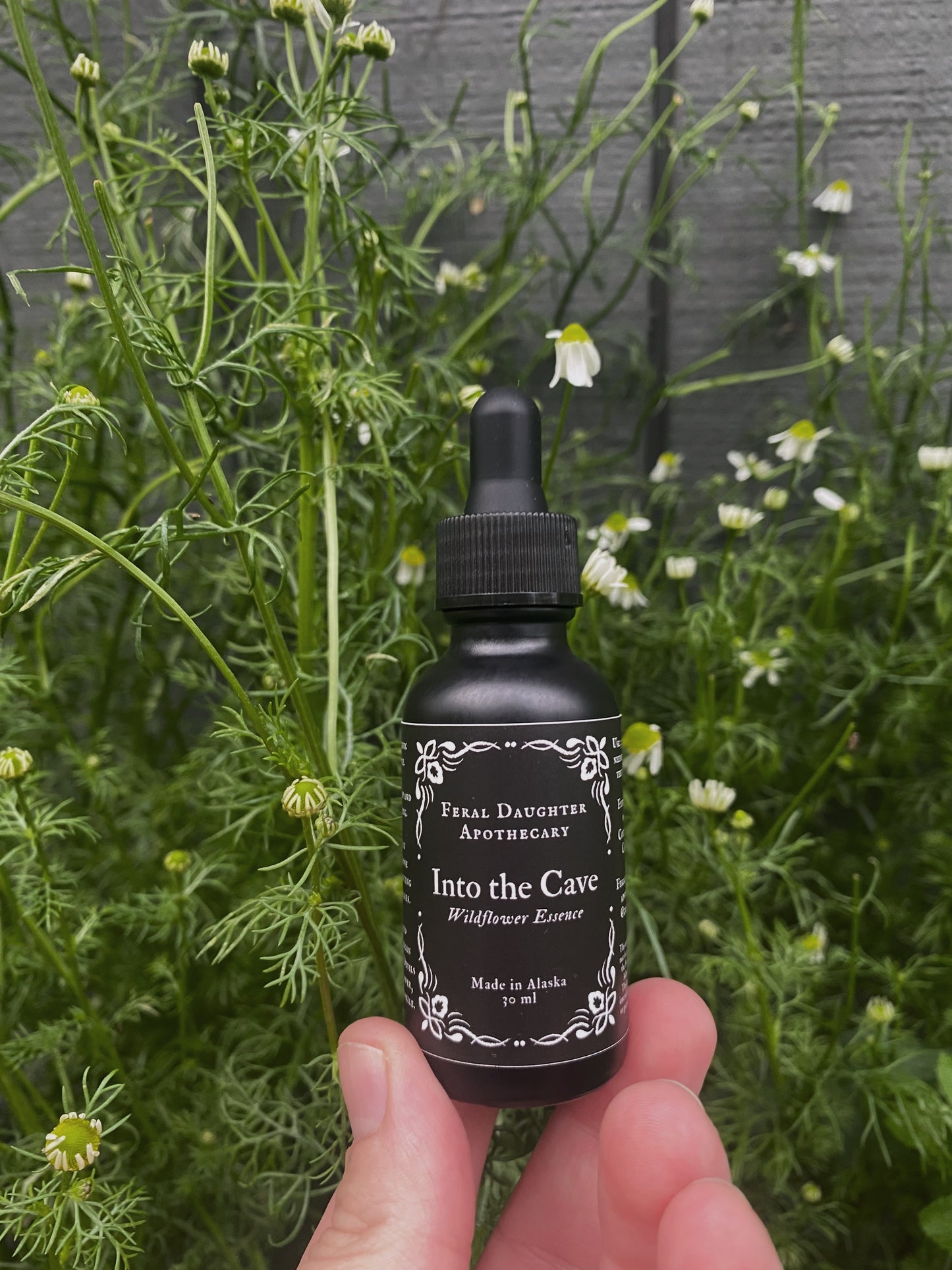 Into the Cave Flower Essence