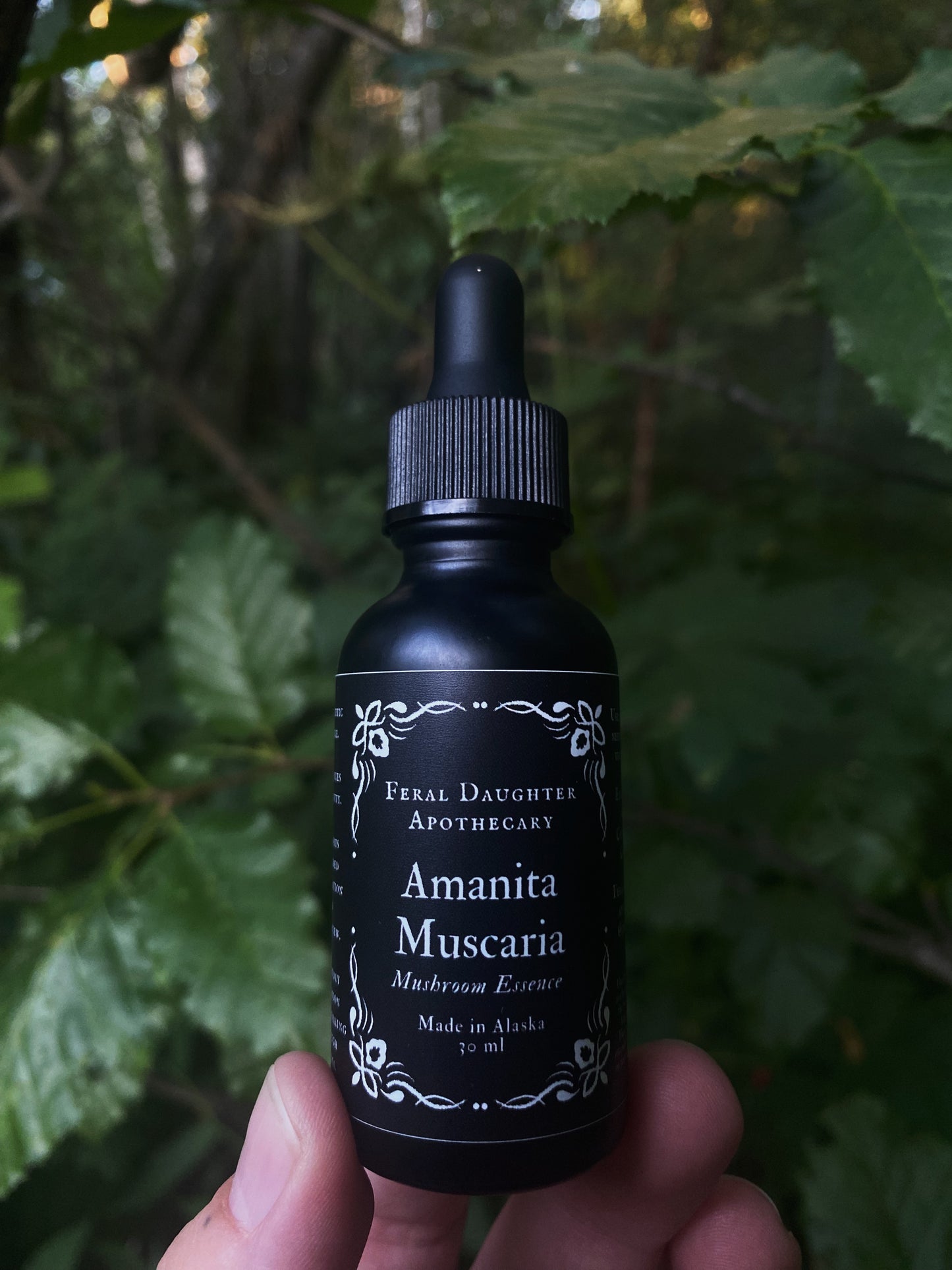 Amanita Muscaria Mushroom Essence