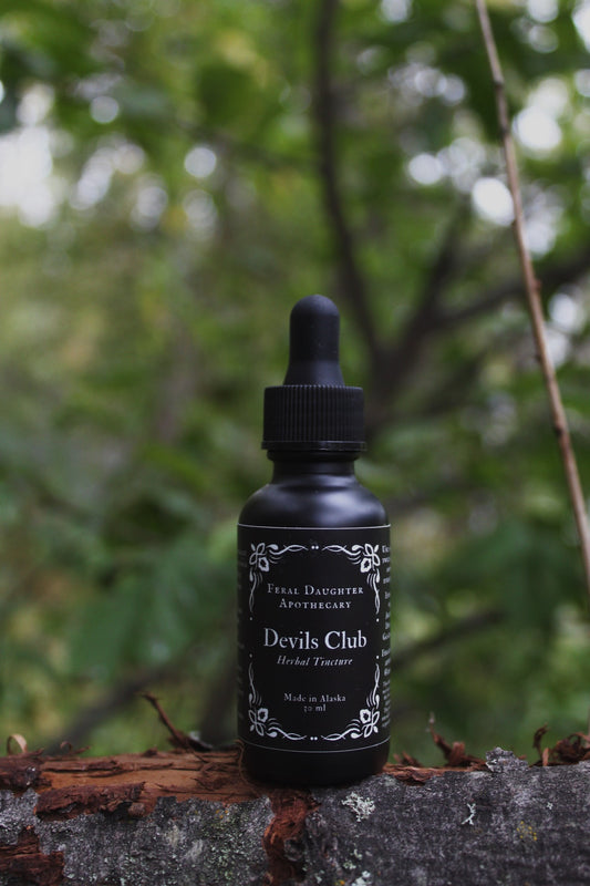 Devils Club Tincture