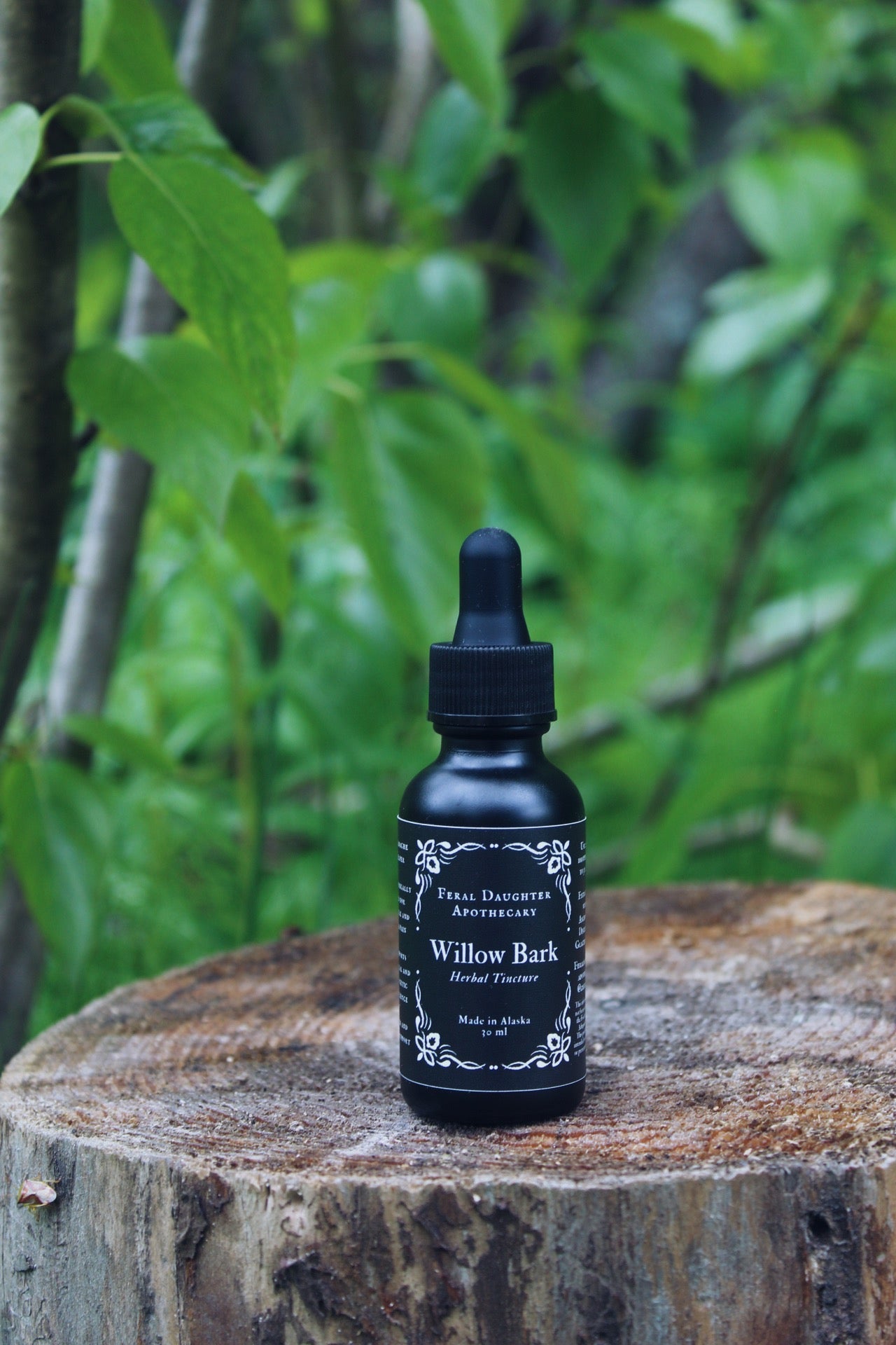 Willow Bark Tincture