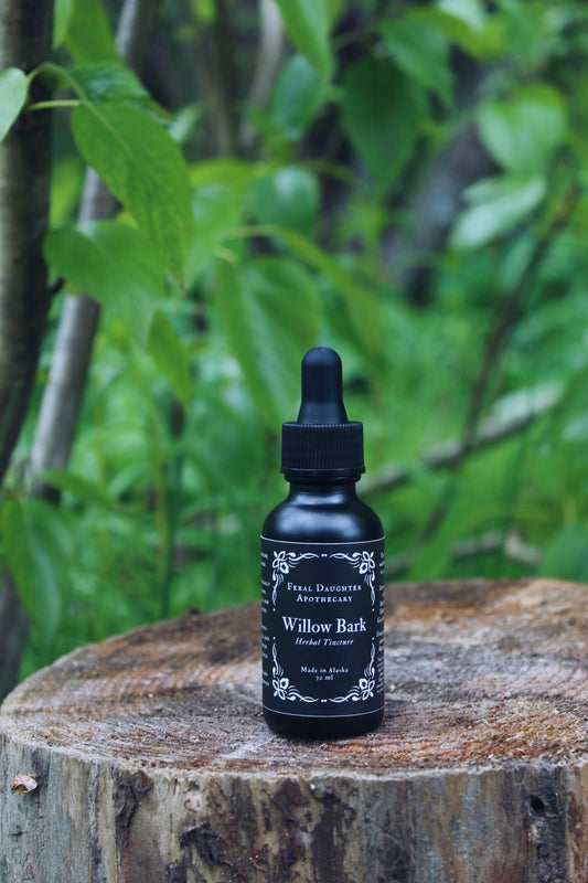 Willow Bark Tincture