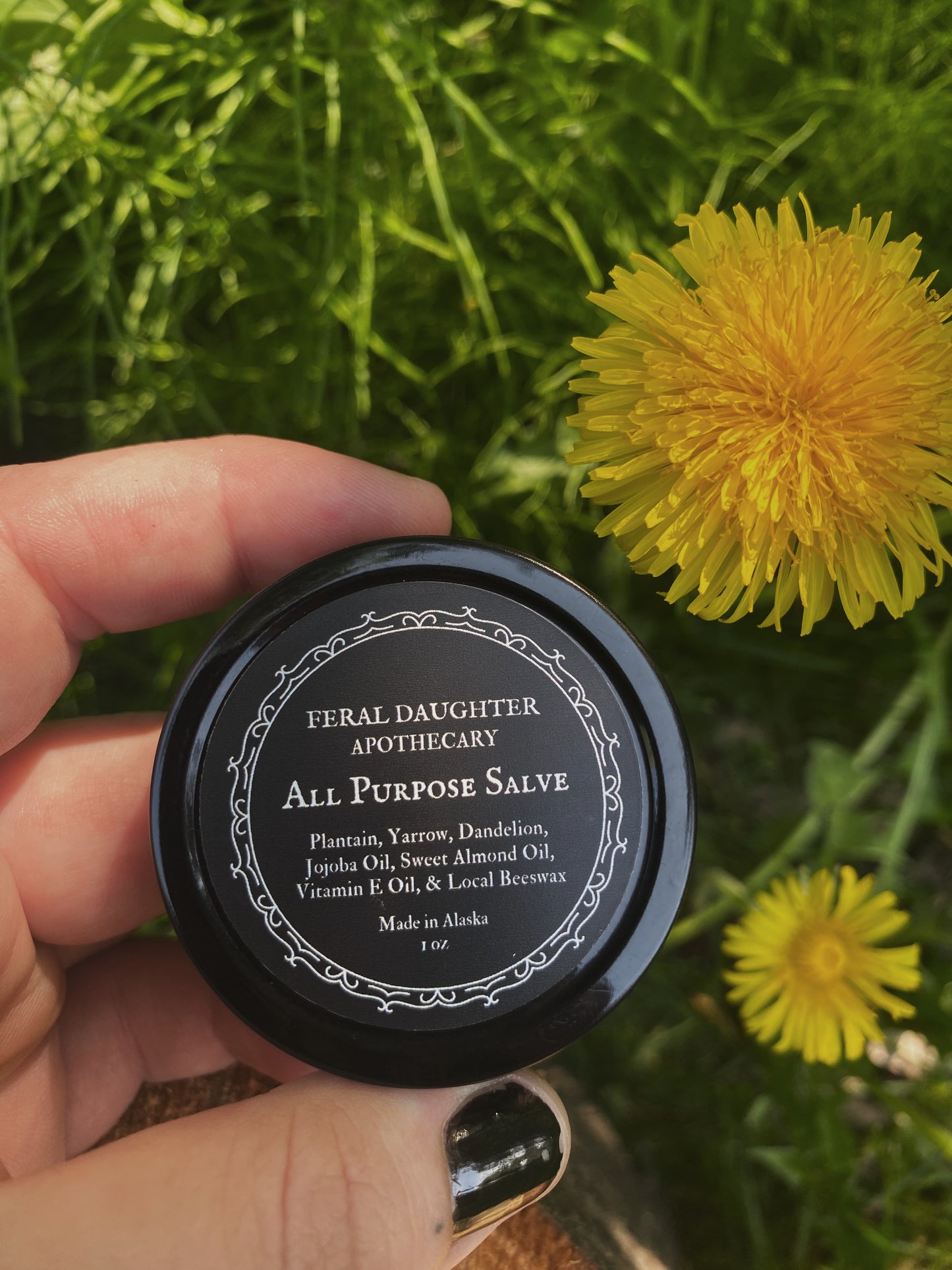 All Purpose Salve